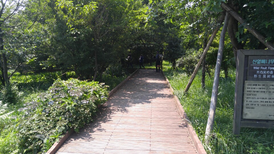 한라생태숲 30.jpg